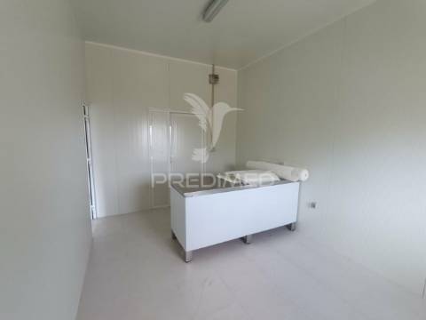 Exploração agropecuaria em trancoso