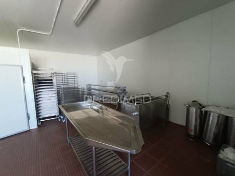 Exploração agropecuaria em trancoso