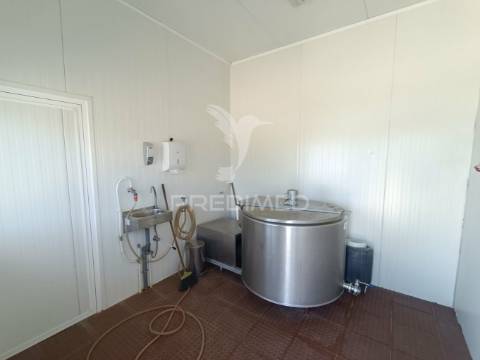 Exploração agropecuaria em trancoso