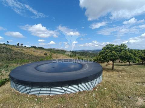 Exploração agropecuaria em trancoso