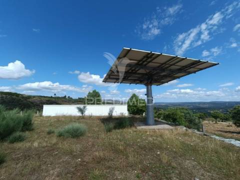 Exploração agropecuaria em trancoso