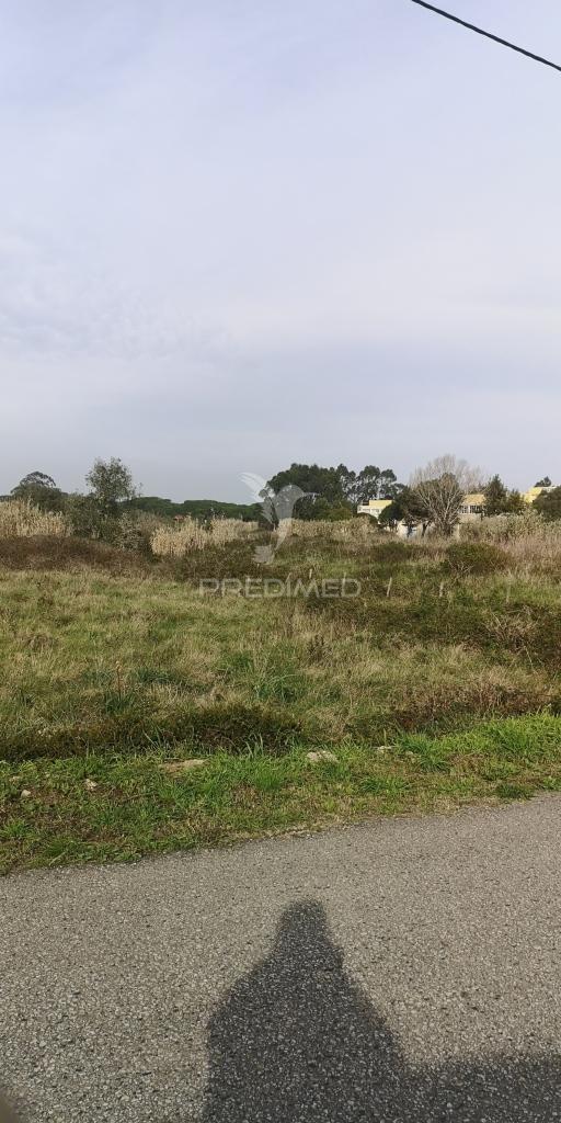 Grande terreno para atividades económicas em sintra
