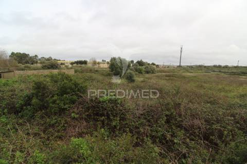 Grande terreno para atividades económicas em sintra