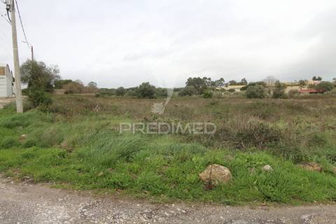 Grande terreno para atividades económicas em sintra