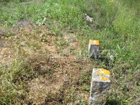 S. bartolomeu messines. terreno misto com habitação em ruínas