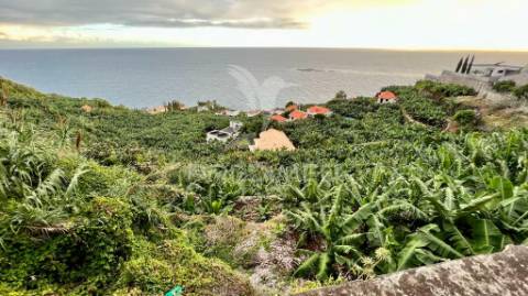 Terreno para investimento na calheta - ilha da madeira