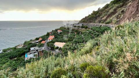 Terreno para investimento na calheta - ilha da madeira