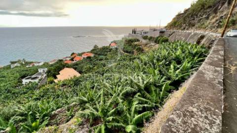 Terreno para investimento na calheta - ilha da madeira
