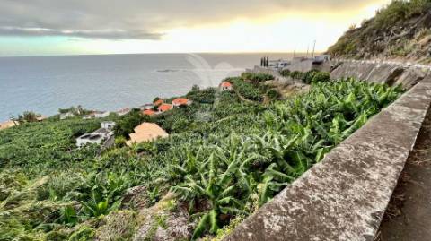 Terreno para investimento na calheta - ilha da madeira