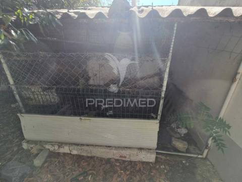 Terreno urbano c/ ruina, viabilidade construção 440m2, loulé