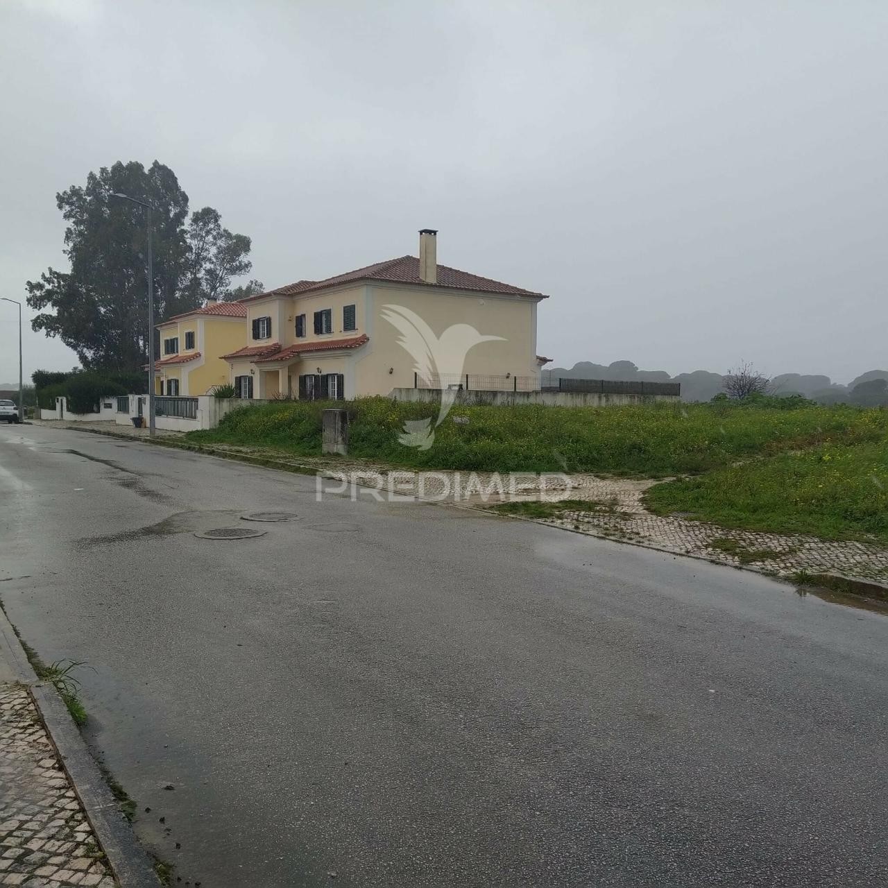 Terreno urbano com 443m2 em santarém
