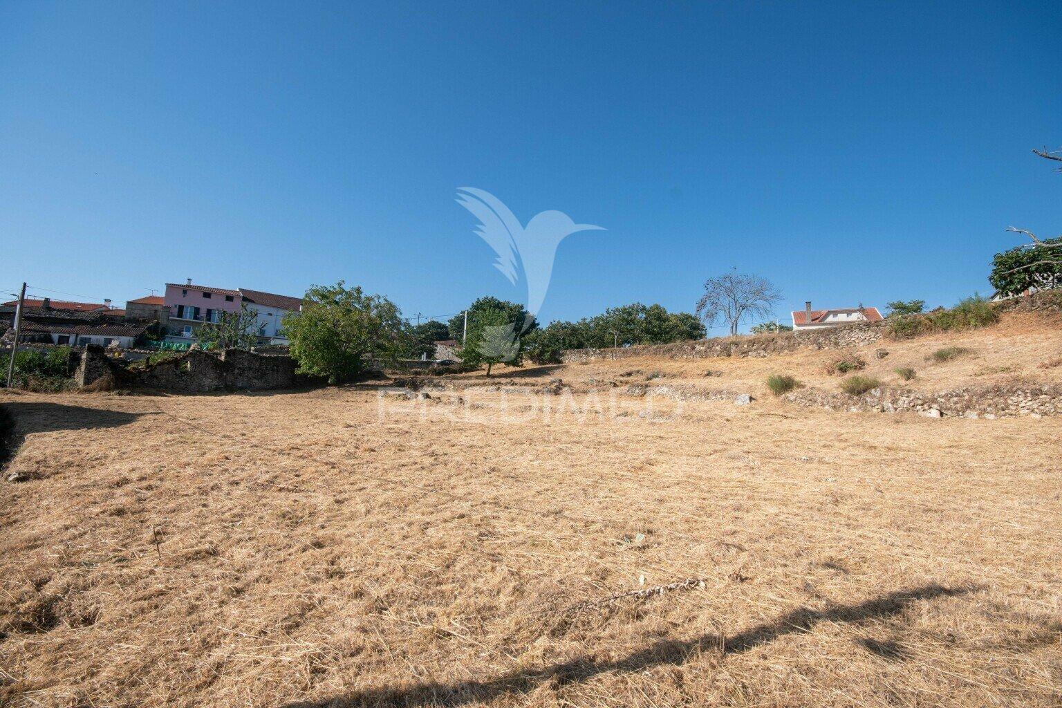 "terreno com ruína em courelas, trancoso "