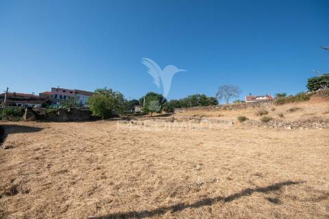 "terreno com ruína em courelas, trancoso "