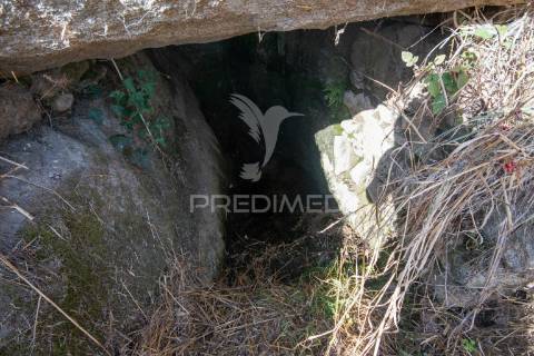 "terreno com ruína em courelas, trancoso "