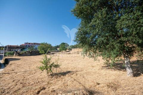 "terreno com ruína em courelas, trancoso "