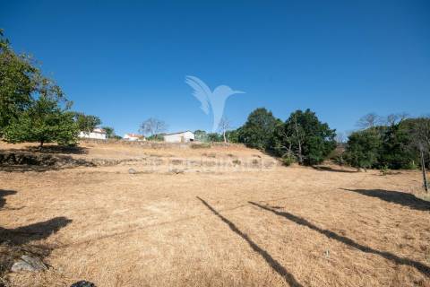 "terreno com ruína em courelas, trancoso "