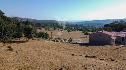 "terreno com ruína em courelas, trancoso "