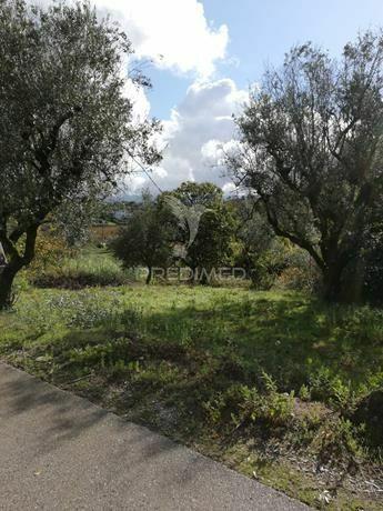 Terreno com 2110 m2 monte de bera- coimbra
