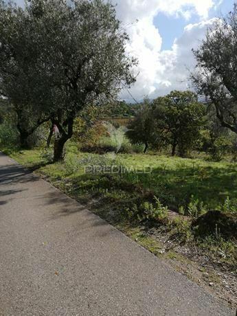 Terreno com 2110 m2 monte de bera- coimbra
