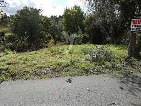 Terreno com 2110 m2 monte de bera- coimbra
