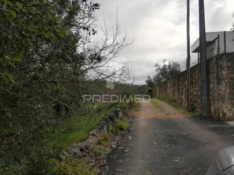 Lote terreno 3 337 m2 construção- mata- condeixa-a-nova