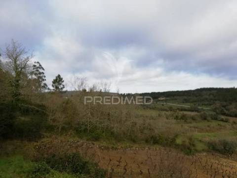 Lote terreno 3 337 m2 construção- mata- condeixa-a-nova