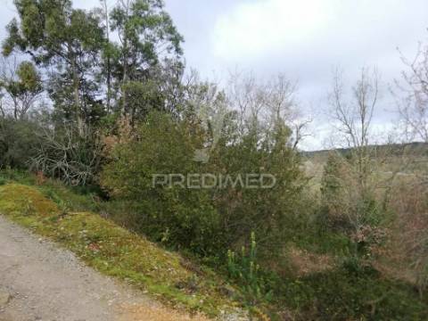 Lote terreno 3 337 m2 construção- mata- condeixa-a-nova