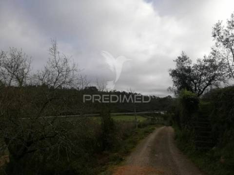 Lote terreno 3 337 m2 construção- mata- condeixa-a-nova