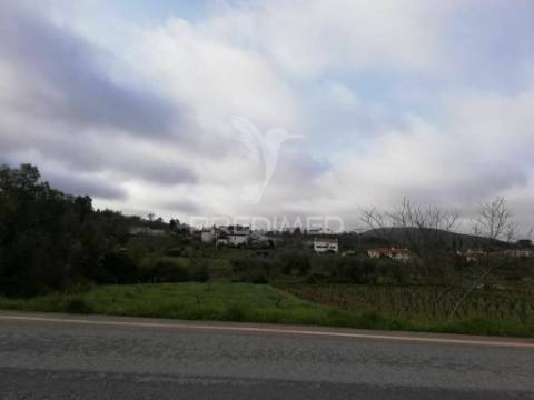 Lote terreno 3 337 m2 construção- mata- condeixa-a-nova