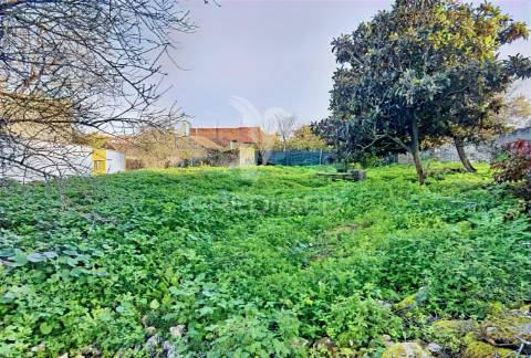 Moradia com terreno para restaurar na localidade do malhou / alcanena