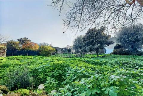 Moradia com terreno para restaurar na localidade do malhou / alcanena