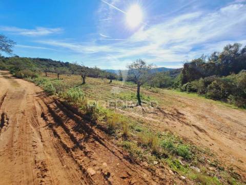 Terreno para construção de um hotel c/ projeto aprovado