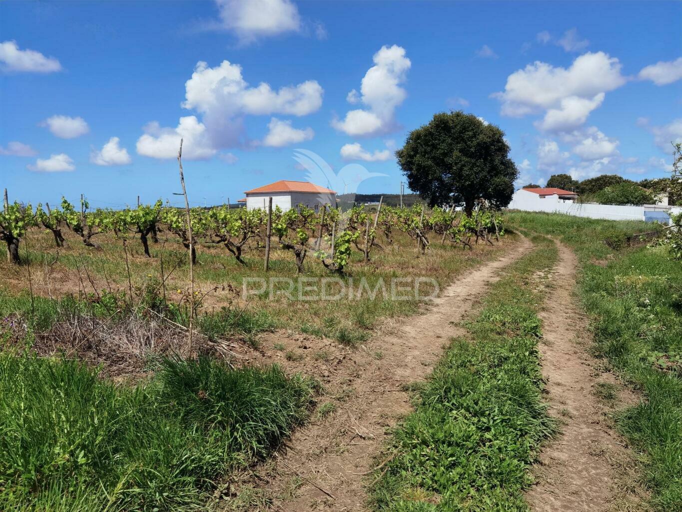 Terreno urbano , localizado na moita dos ferreiros - lourinhã