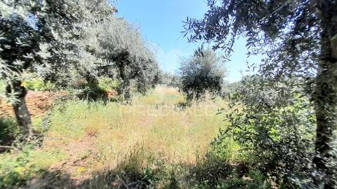 Moradia em pedra p/recuperar souto da casa