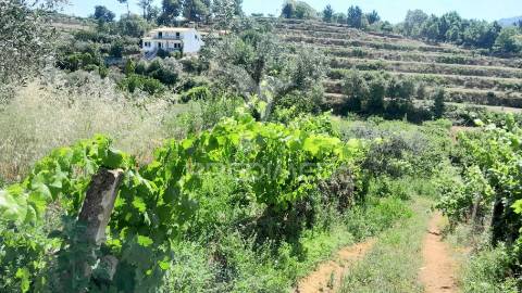 Moradia em pedra p/recuperar souto da casa