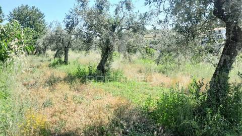 Moradia em pedra p/recuperar souto da casa