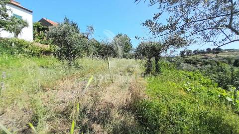 Moradia em pedra p/recuperar souto da casa