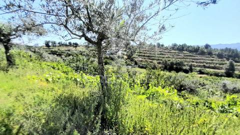 Moradia em pedra p/recuperar souto da casa