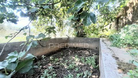 Moradia em pedra p/recuperar souto da casa