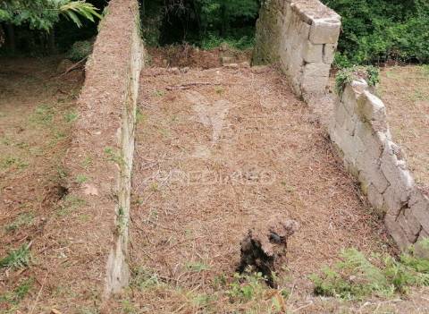 Quinta com excelentes vista sobreo rio douro  75 km do porto