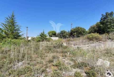 Terreno urbano  , localizado em minde /alcanena