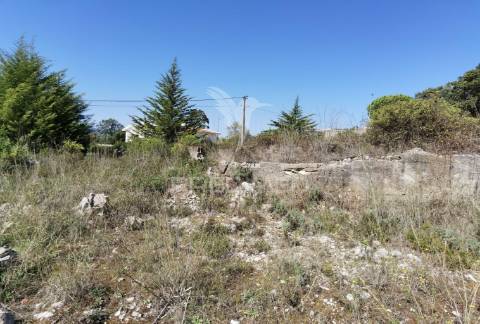 Terreno urbano  , localizado em minde /alcanena