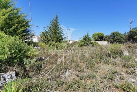 Terreno urbano  , localizado em minde /alcanena