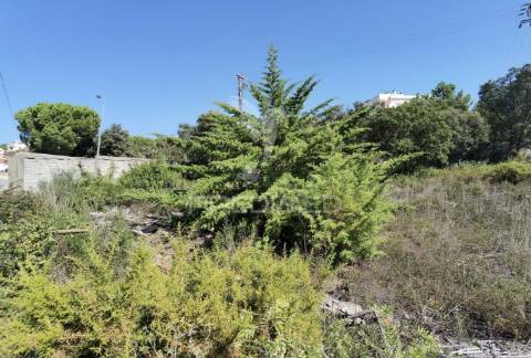 Terreno urbano  , localizado em minde /alcanena