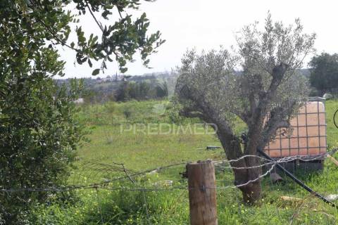 Terreno na ataboeira