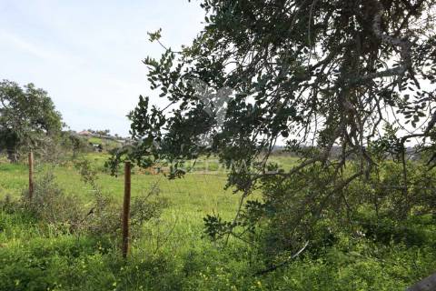 Terreno na ataboeira