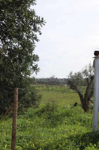 Terreno na ataboeira