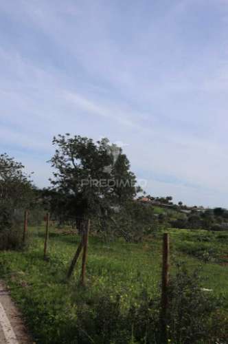 Terreno na ataboeira