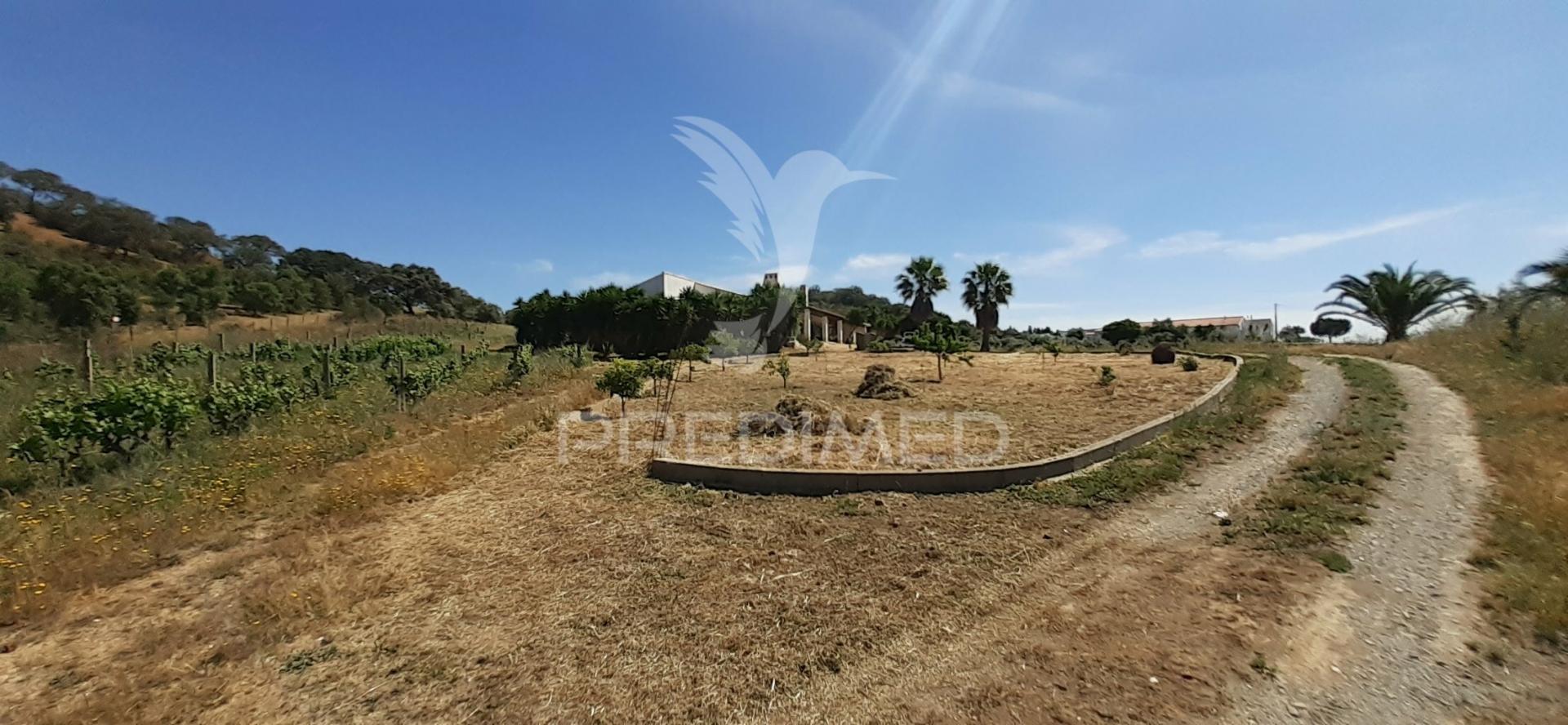 Quinta de 1,06 ha com moradia t4 em santa luzia – ourique