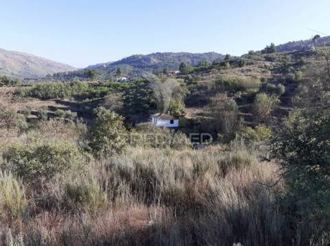Quinta com mais 4 hectares na serra da aldeia nova